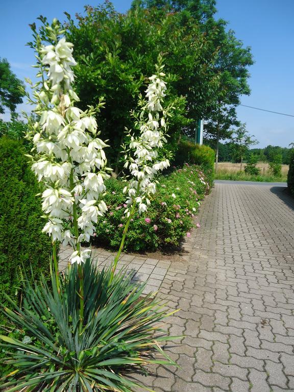 Das Fritz Hotel Schwerin Schoene Lage Im Gruenen Mit Regionaler Kueche Kostenfreien Parkplaetzen Und E Ladestation Екстер'єр фото